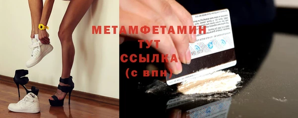 прущие грибы Покачи