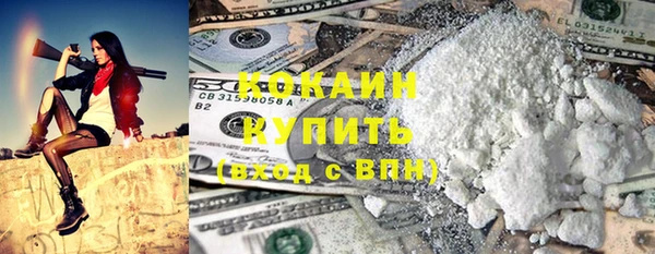 прущие грибы Покачи