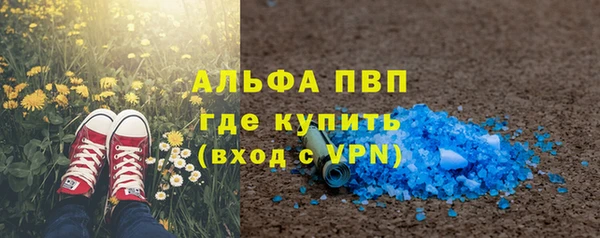 гидра Абаза