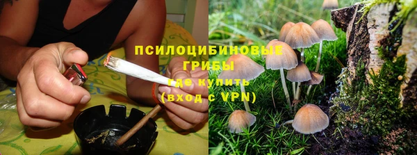 прущие грибы Покачи