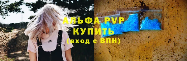 гидра Абаза