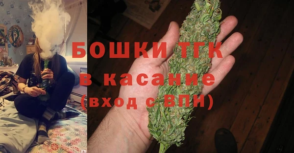 прущие грибы Покачи