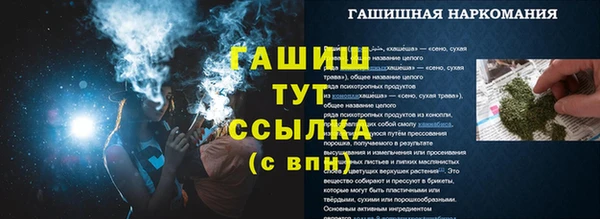прущие грибы Покачи