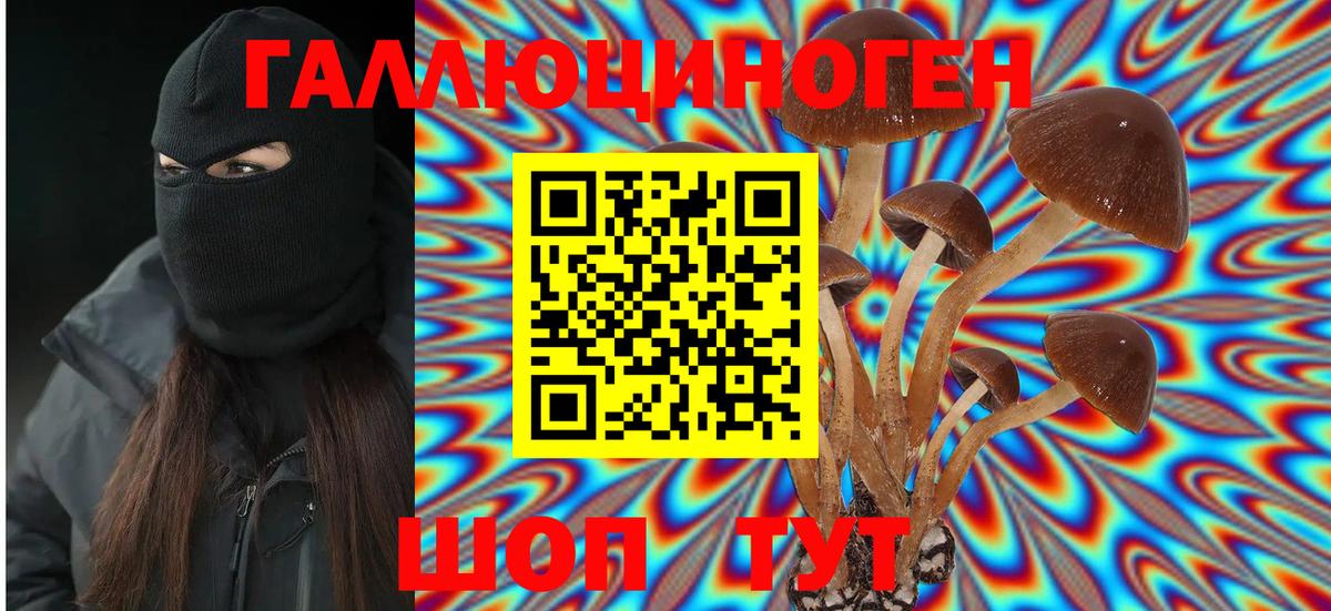 Галлюциногенные грибы Magic Shrooms Приморско-Ахтарск