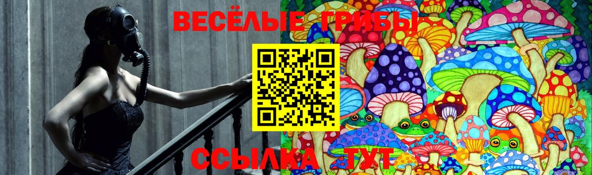 Галлюциногенные грибы GOLDEN TEACHER  Псилоцибиновые грибы прущие грибы  Приморско-Ахтарск  Вход с VPN 